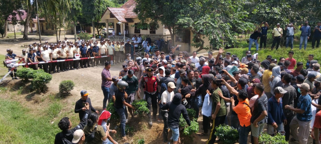 200 Ekor Lembu Diduga Diracun, GM PTPN 4 Regional 1 Asahan Enggan Hadapi Warga