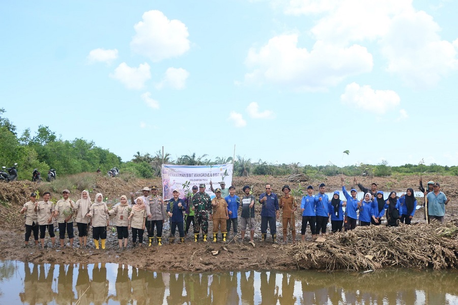 IP Gandeng LPHD Restorasi Hutan Mangrove Di Desa Pasar Rawa