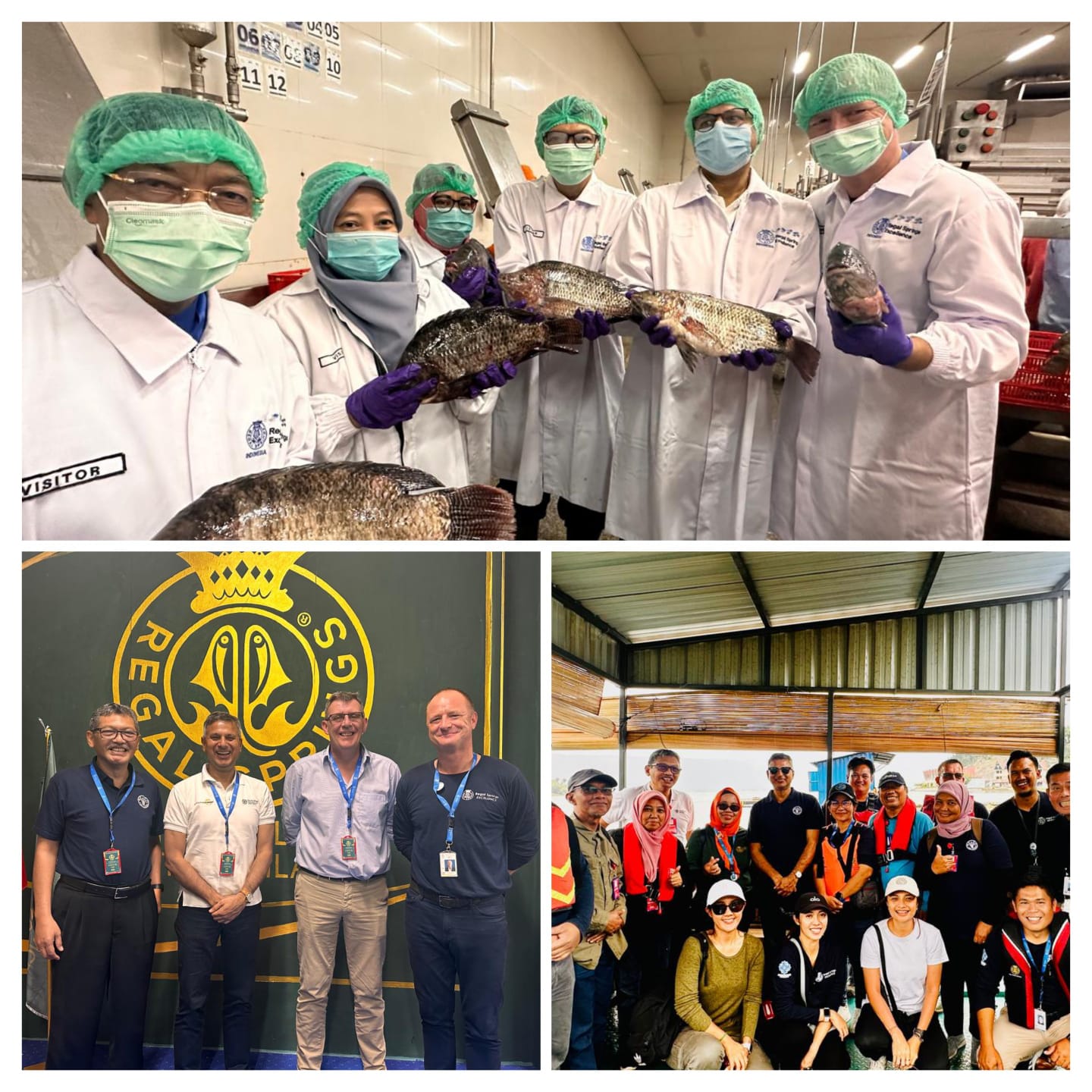 Regal Springs Indonesia Bersama FAO Dan IPB University Bahas Gagasan Transformasi Blue Food