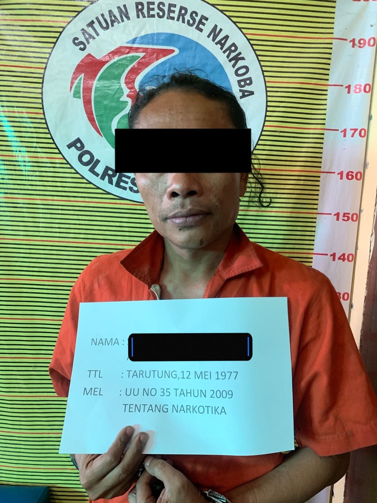 Tanam Ganja Di Depan Rumah, Warga Samosir Ditangkap Polisi