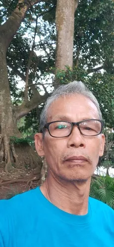 Konflik Satwa Di Kawasan TNGL Disebabkan Illegal Logging