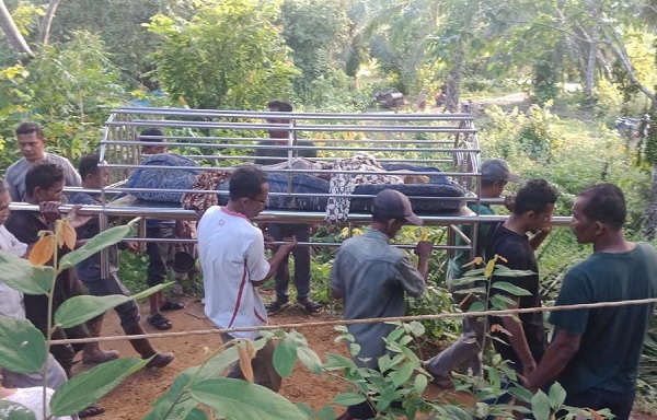 Buruh Sawit Meninggal Tersengat Listrik