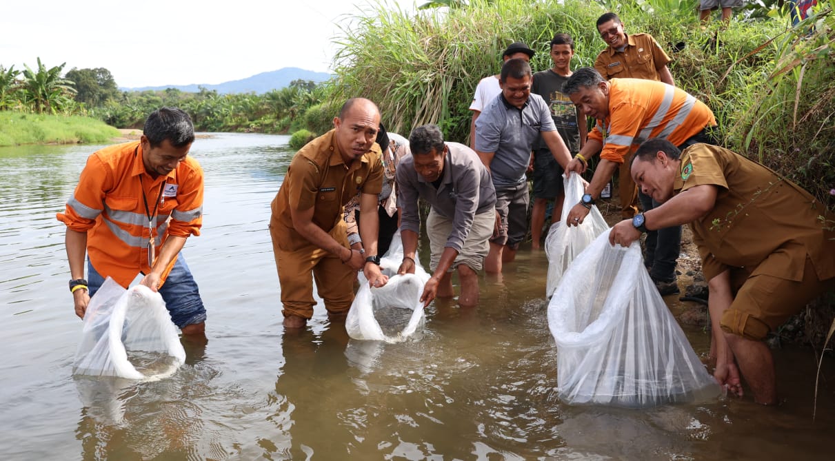 PT AR Lepas 3.500 Bibit Ikan Jurung Dan 300 Kg Ikan Mas Di Sungai Garoga