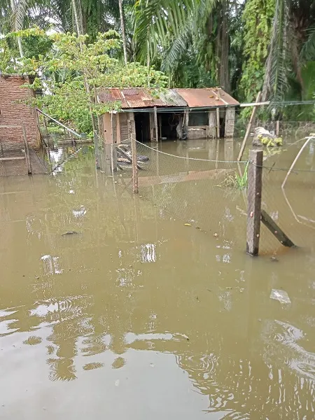 Rumah Terendam Warga Minta Bupati Langkat Ambil Sikap