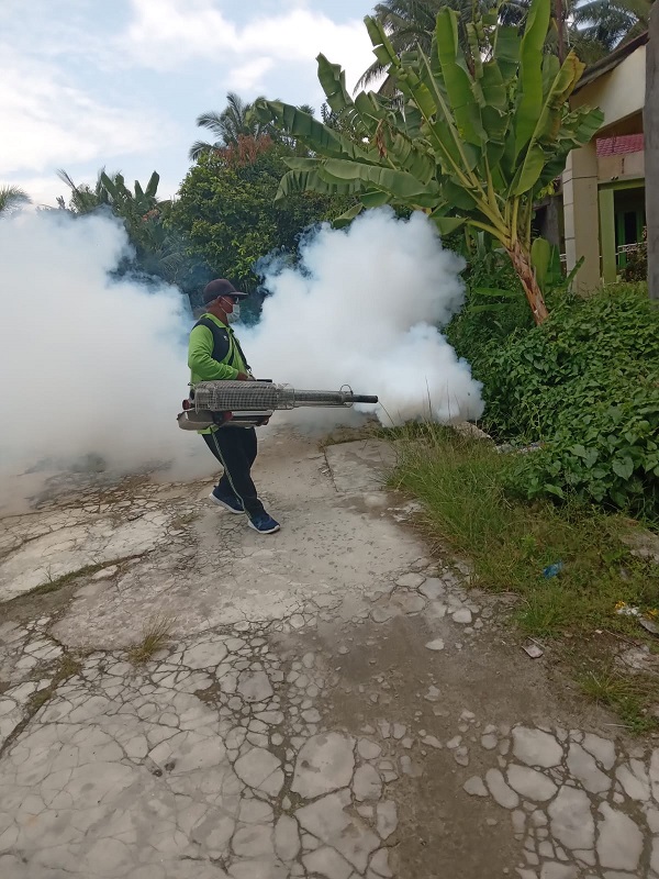 DBD Menyerang, Pemukiman Warga Di Fogging