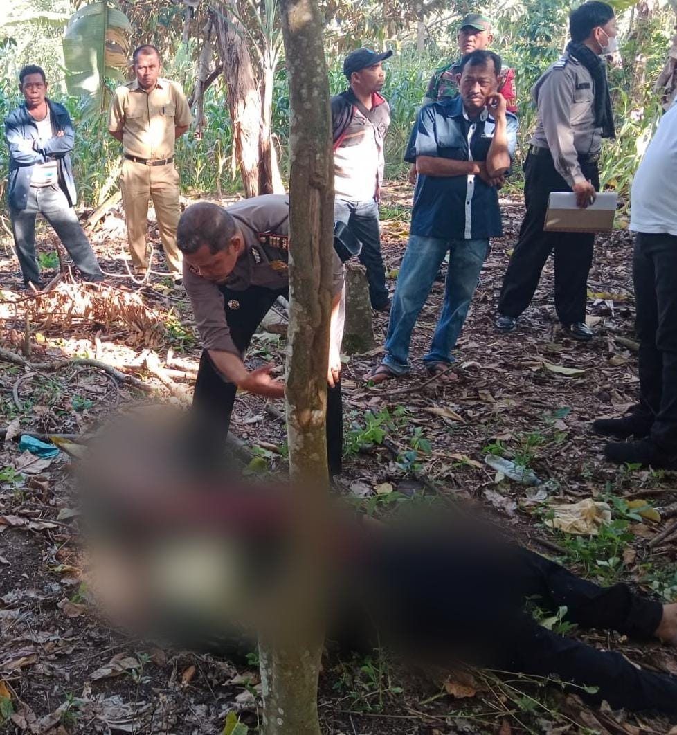 Laki-laki Berusia 42 Tahun Ditemukan Tewas Di Perladangan Di Girsang