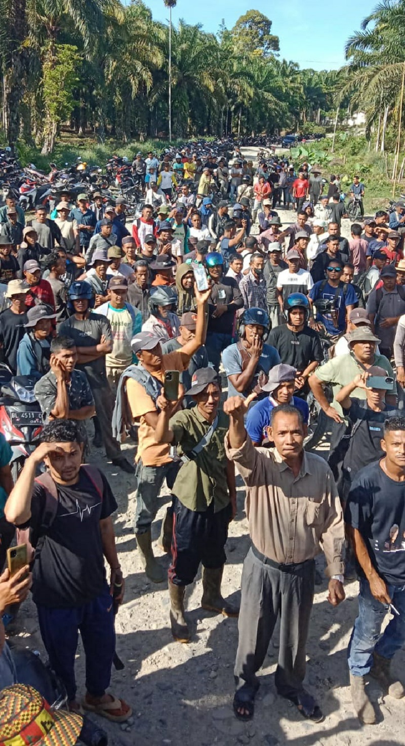 Seribuan Petani Abdya Duduki Lahan Eks HGU PT CA
