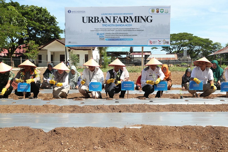 Urban Farming Kendalikan Inflasi