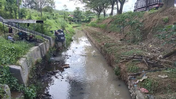 Irigasi Tersumbat, Petani Madina Meradang
