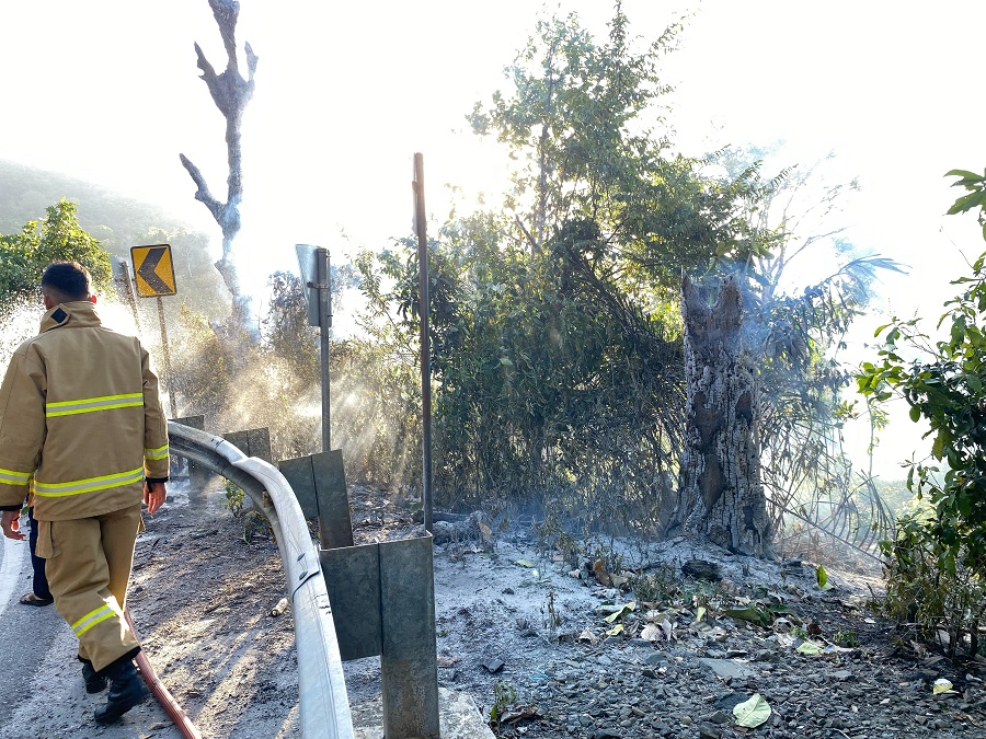 Lahan Terbakar Di Gunung Kulu