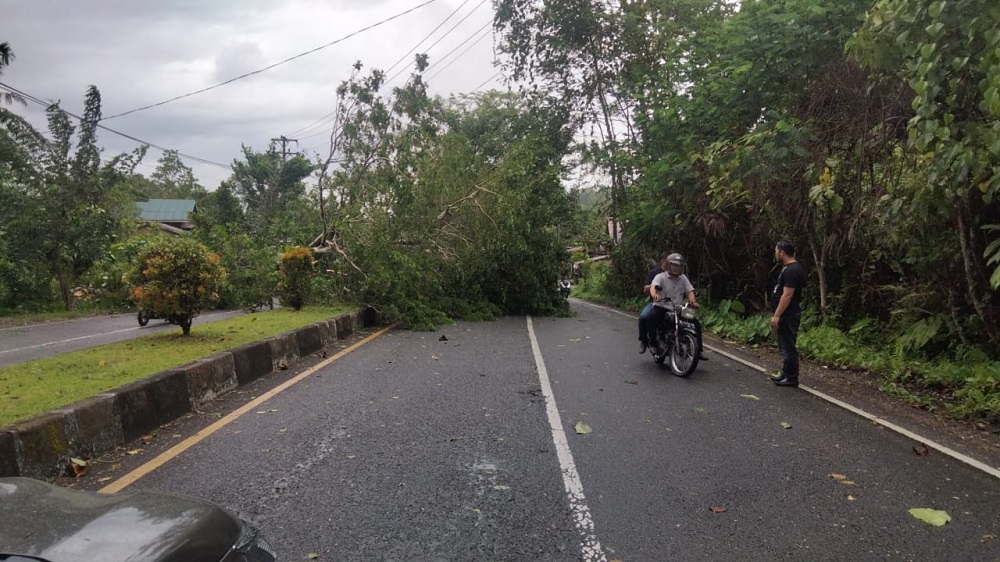 Simeulue Dilanda Angin Kencang