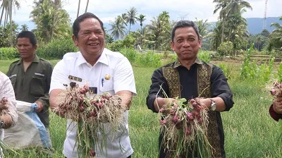 Rektor UISU Serahkan Naskah Akademik, Gagas Penelitian Budidaya Bawang Merah