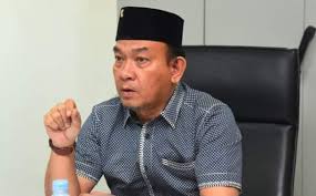 Mulai Musim Hujan, Komisi IV Minta Pemko Medan Tingkatkan Pemangkasan Pohon