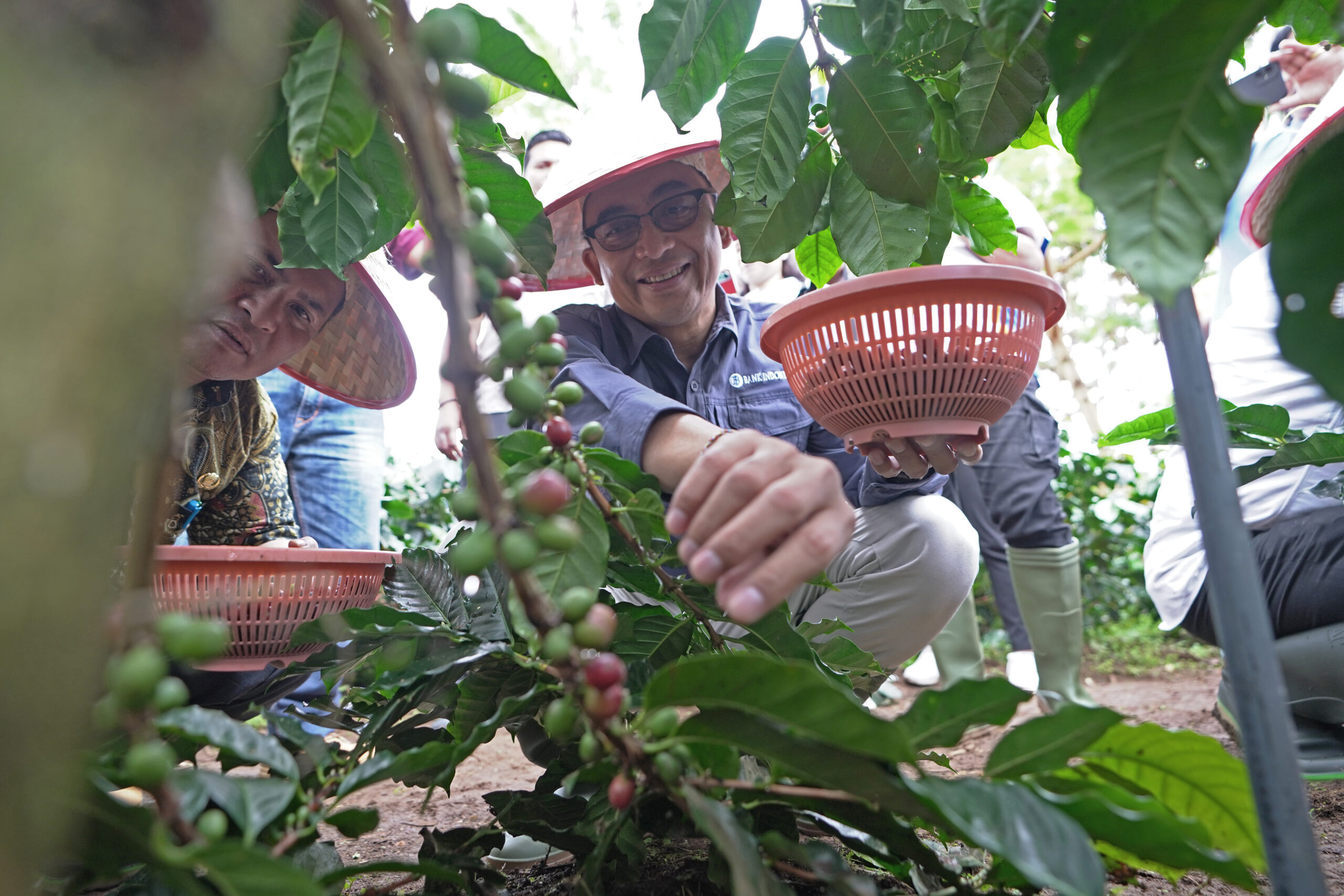 Wujudkan Local Economic Development, BI Kembangkan Klaster Kopi Di Dairi