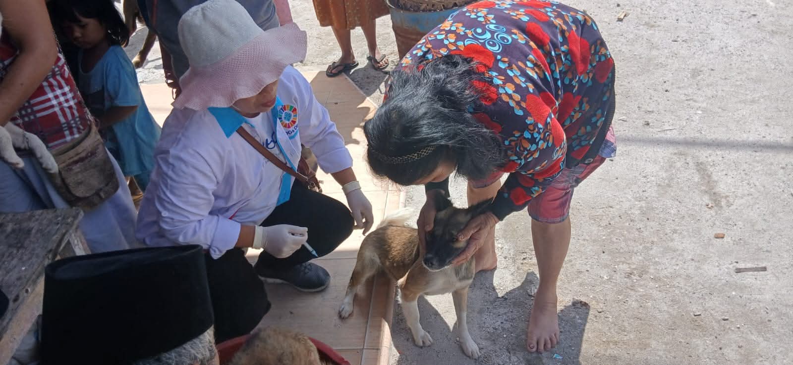 Humbang Hasundutan Tingkatkan Kesiapsiagaan Tangani Rabies