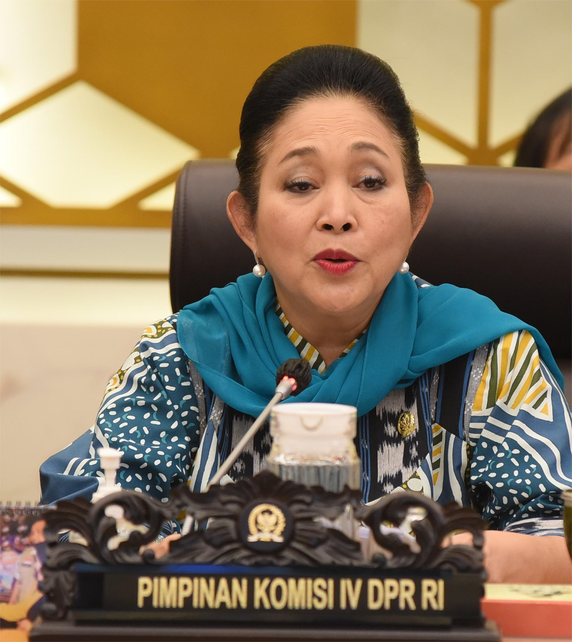 Komisi IV DPR Minta Kementan Fokus Meningkatkan Produktivitas Pangan