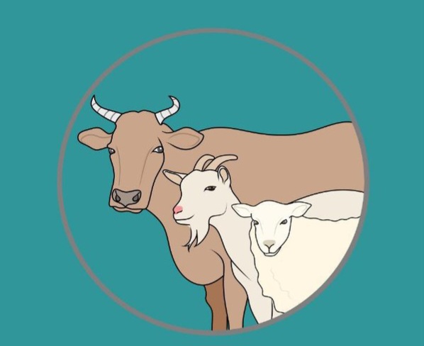 Konsumsi Daging Kurban Aman, Sesuaikan Dengan Asupan Harian