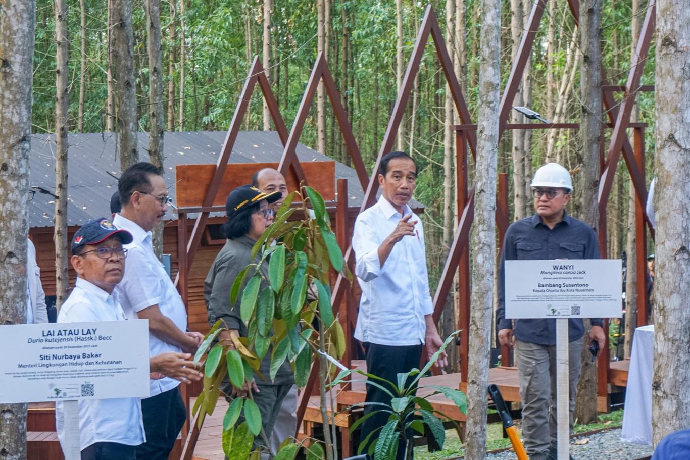 Menteri LHK Siti Nurbaya Dampingi Presiden Jokowi Tanam Pohon Di IKN