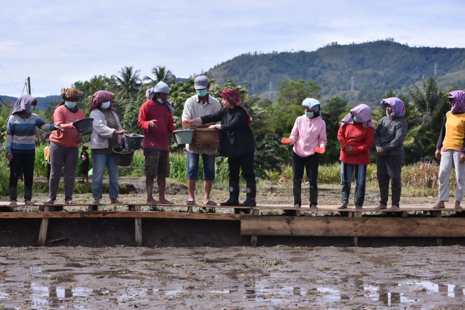 Bantu Petani Yang Gagal Panen Akibat Sawah Terendam Banjir