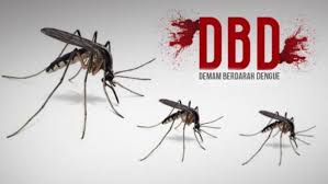 Waspadai ISPA Dan DBD Di Januari