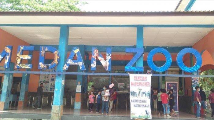Pemko Medan dan PUD Pembangunan Terkesan Santai Tangani Satwa Sakit Di Medan Zoo