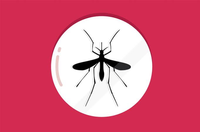 Musim Pancaroba, Dinkes Ingatkan Potensi Penyakit DBD Mengintai