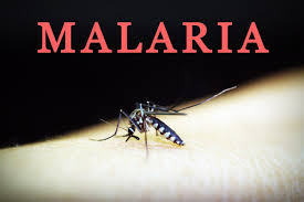 Delapan Orang Meninggal Dan Ratusan Terjangkit, Kabupaten Nisel Nyatakan Darurat Wabah DBD Dan Malaria