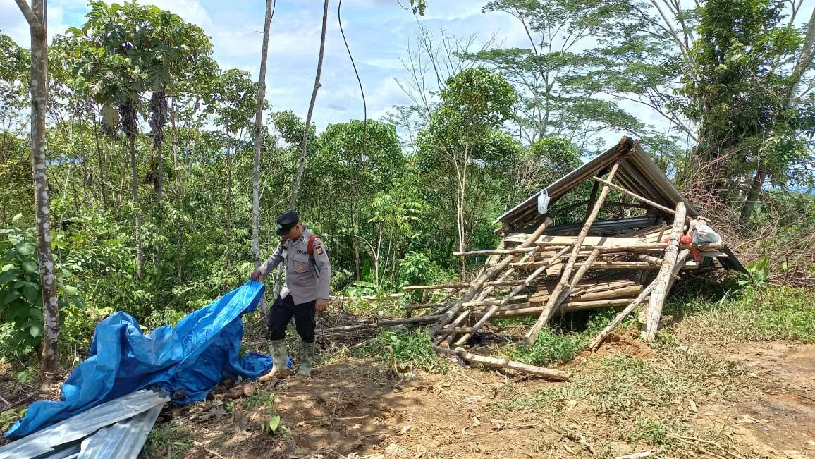 Berbulan-bulan, Gajah Obrak Abrik Lahan Perkebunan Di Atim