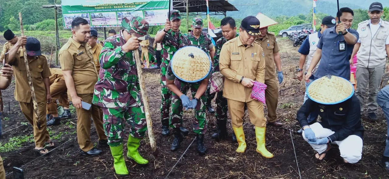 Perkuat Ketahanan Pangan, Dandim 0119/BM Bersama Pj Bupati Tanam Jagung