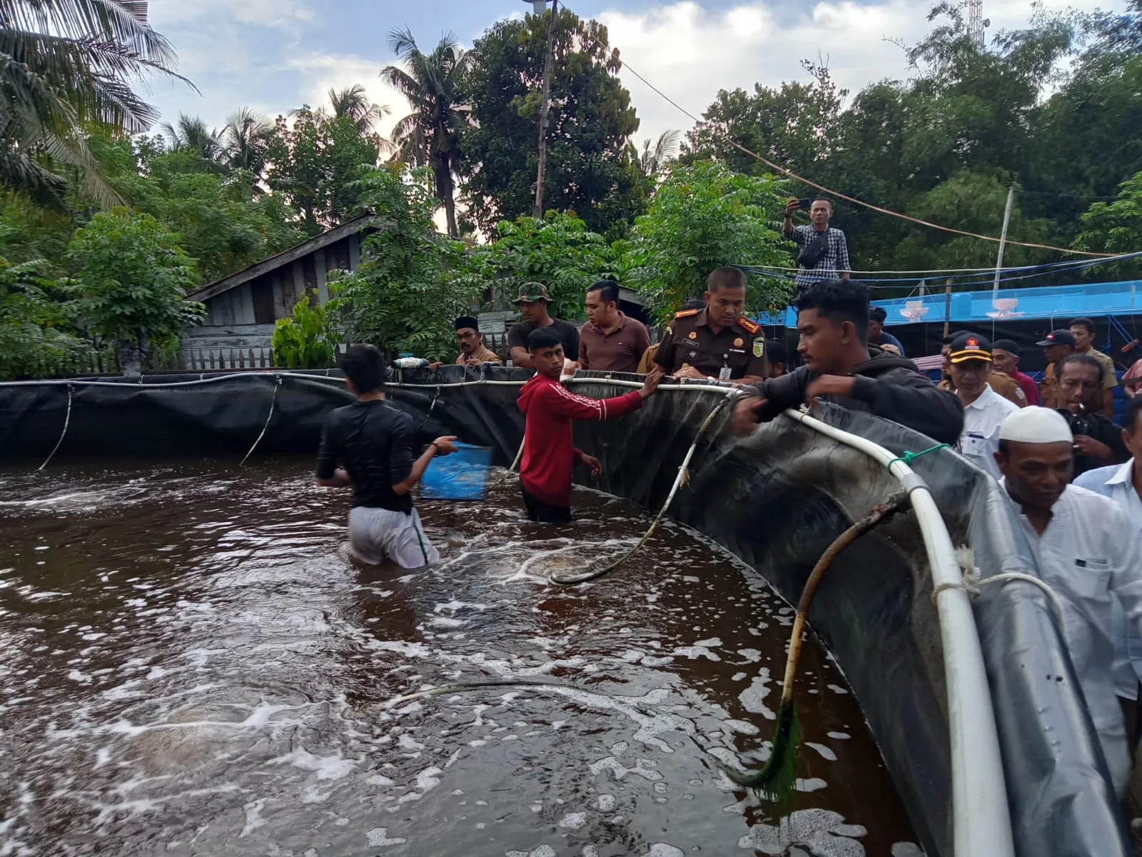 Budidaya Vaname Sistem Bioflok Mon Jaya Panen 8 Ton Udang