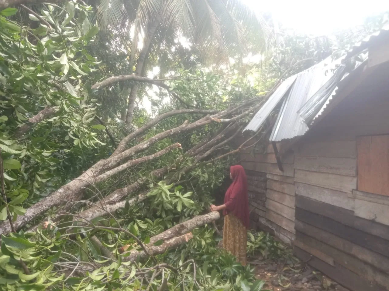 Banjir, Warga Kembali Mengungsi, Dua Rumah Rusak Dihantam Angin