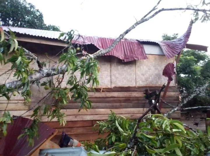 Satu Rumah Warga Tertimpa Pohon Di Bukit Meutuah
