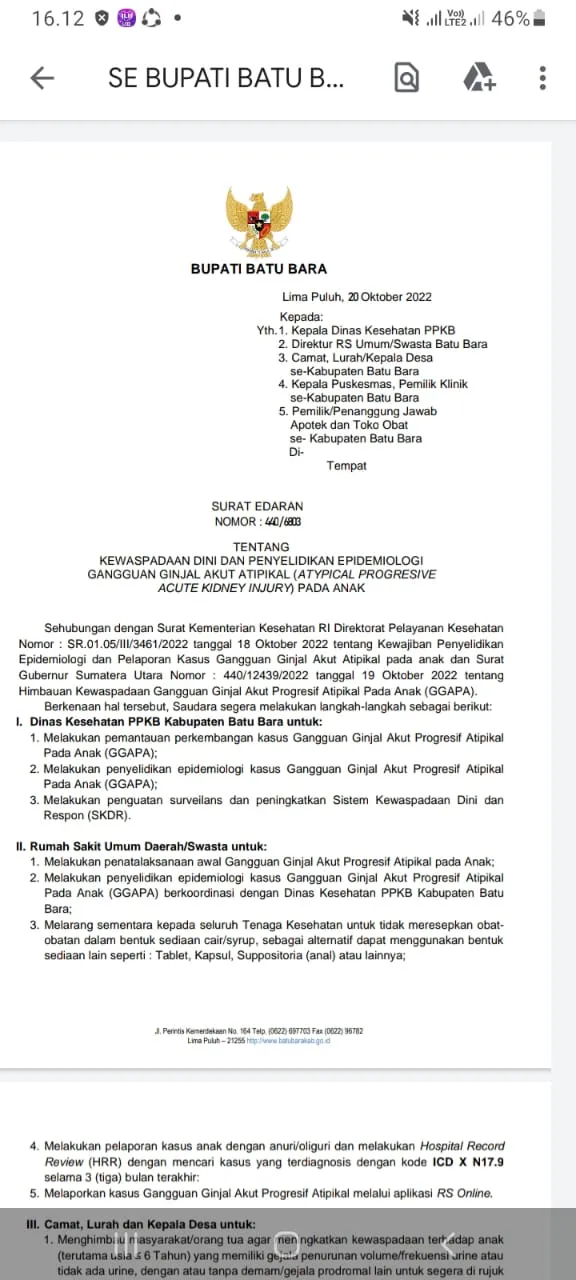Gangguan Ginjal Akut Atipikal Pada Anak, Bupati Batubara Imbau Tingkatkan Kewaspadaan