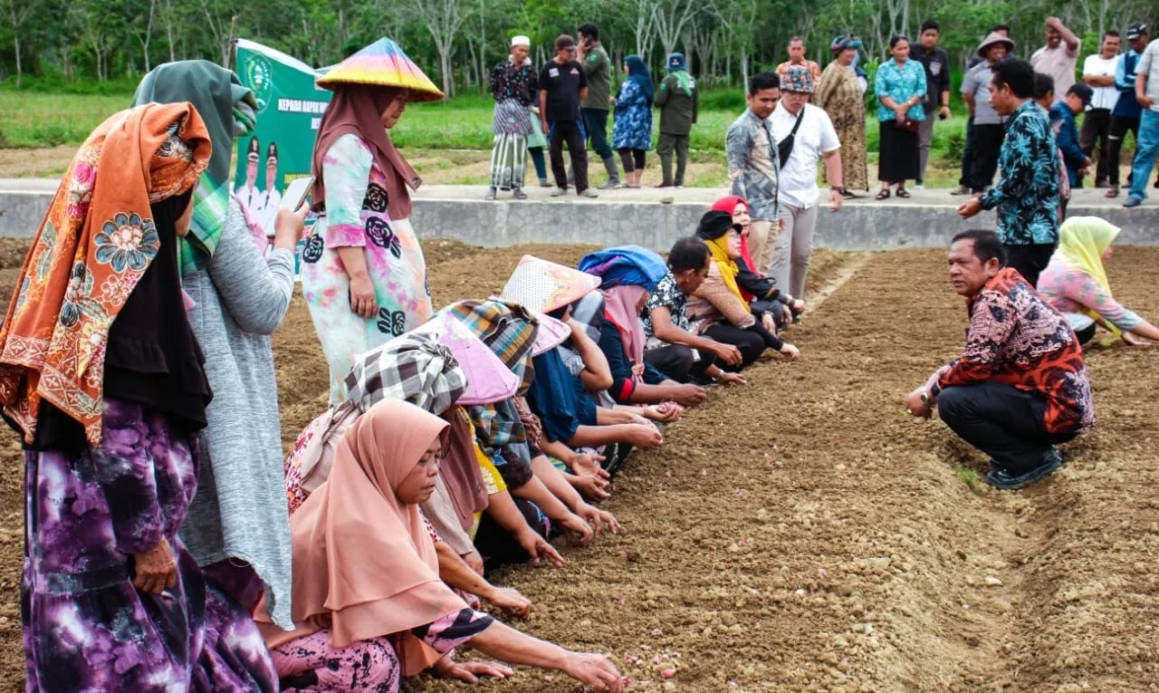 Manegen Alokasikan 20% Dana Desa Untuk Ketahanan Pangan.