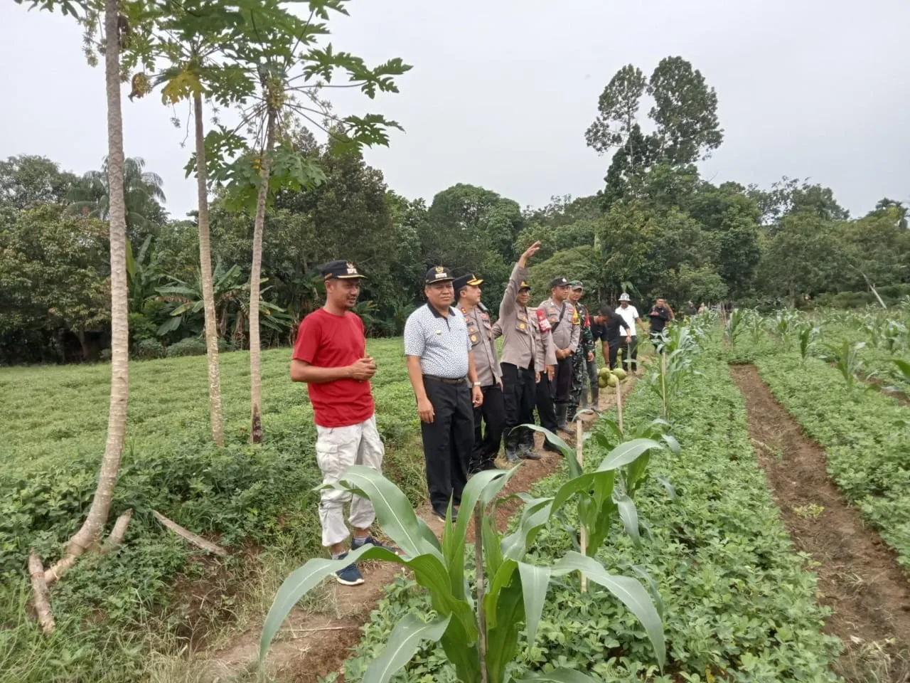 Wujud Ketahanan Pangan, Pj Bupati Abdya Tinjau Lahan Kacang Warga