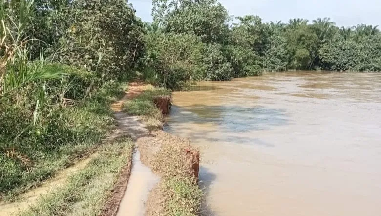 Benteng Sungai Kualuh Erosi, Ratusan Rumah Di 2 Desa Terancam Banjir