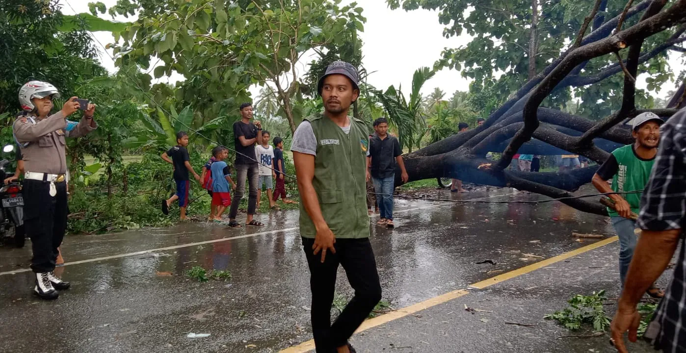 Trembesi Tumbang, Lalu Lintas Banda Aceh-Medan Terganggu
