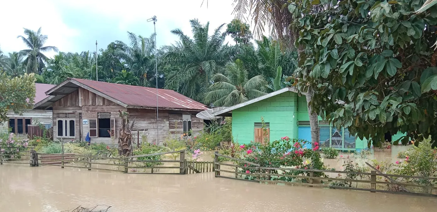 Enam Desa Masih Terendam Banjir Di Kecamatan Rantau