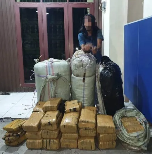 Poldasu Gagalkan Pengiriman 200 Kg Ganja Dari Aceh