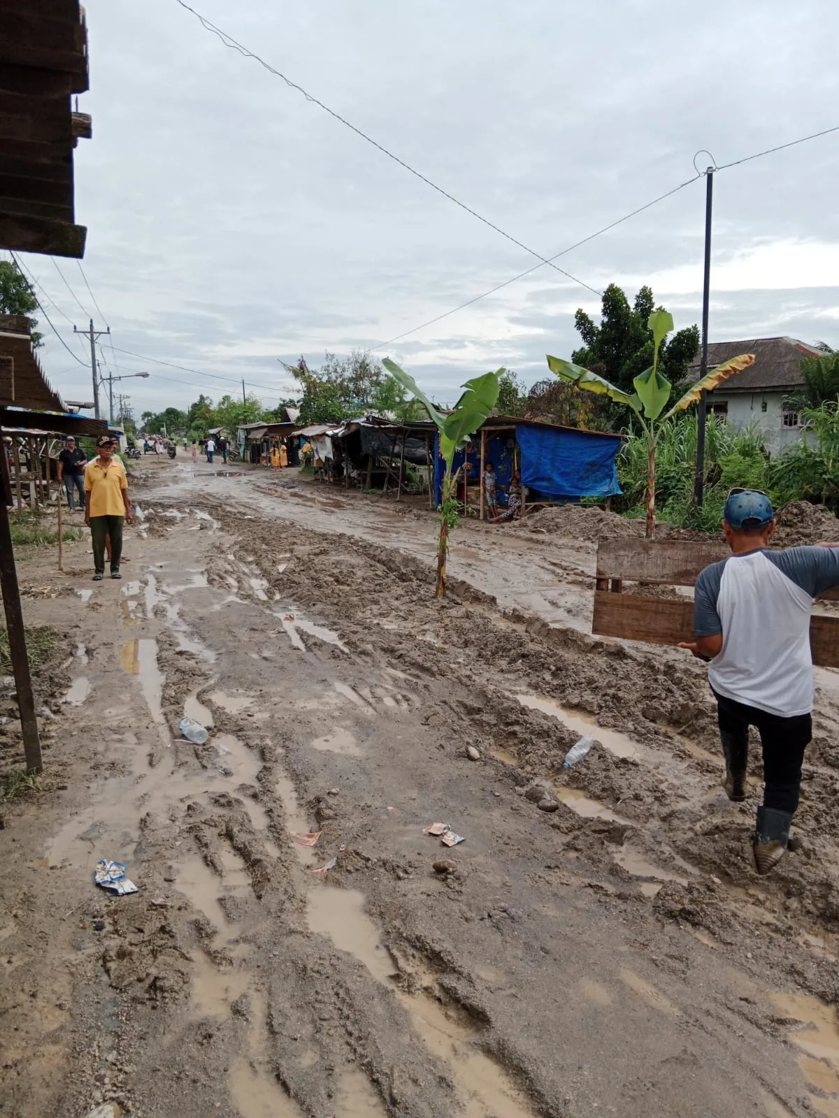 Jl. Rawe 1 Martubung Rusak Parah, Warga Tanam Pohon Pisang