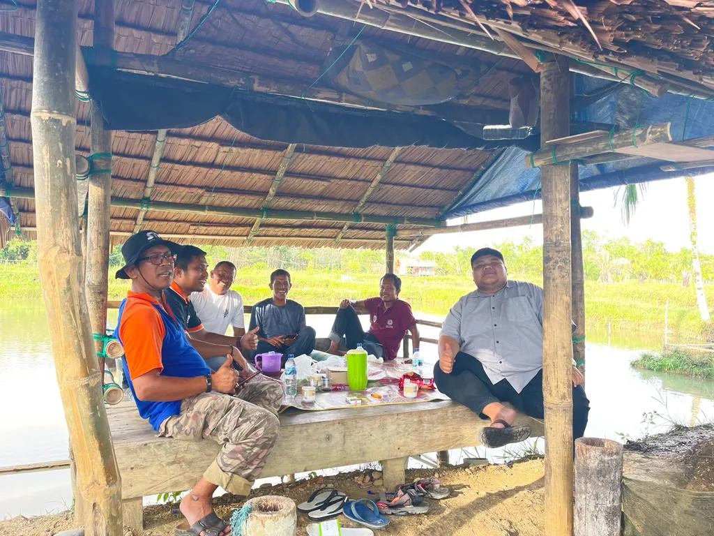 Tim PT Japfa Tinjau Perkembangan Ikan Nila Di Nagan