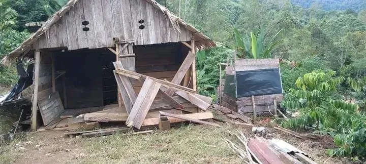 Gajah Liar Obrak-abrik Pemukiman Warga Aceh Tengah