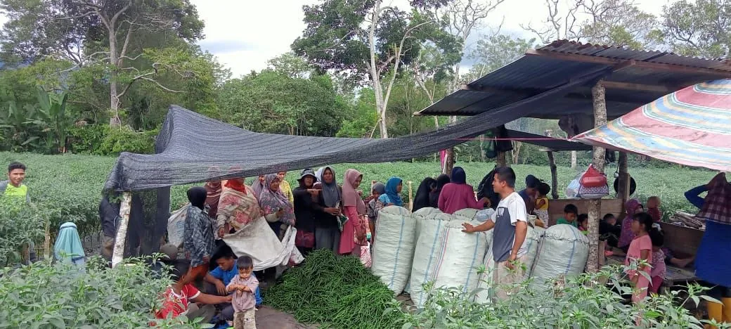 Penyaluran TJSL Ke Warga Sekitar PLTA Peusangan 88 MW Menuai Hasil Nyata