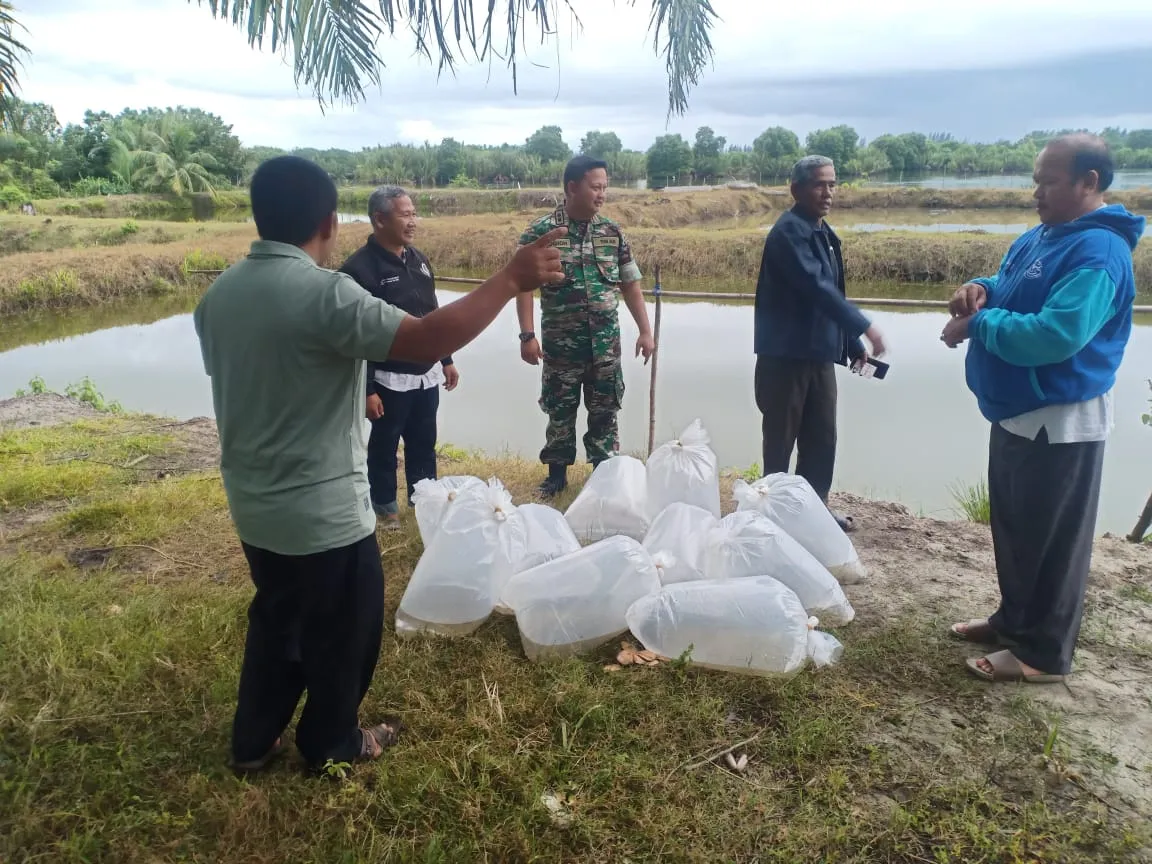 Dandim 0110/Abdya Bantu 15 Ribu Bibit Ikan Untuk Petambak