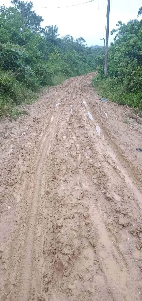 Karyawan PTPN-I Aceh Meninggal Akibat Kelelahan Melintasi Jalan Berlumpur