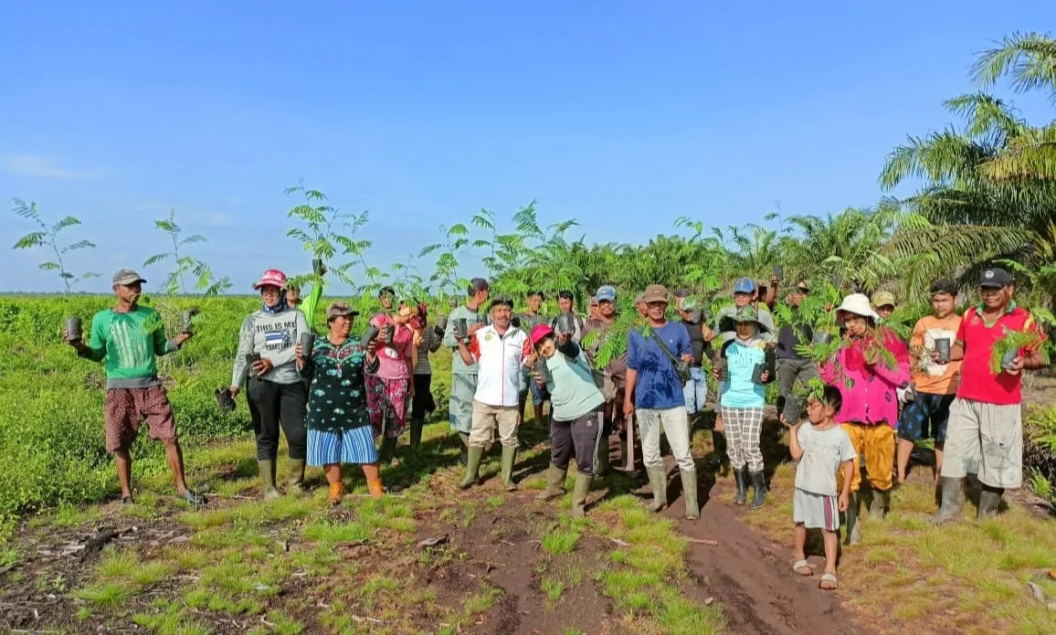 Lokasi Diusahai KTH KPLS Kawasan Hutan Produksi Milik Negara