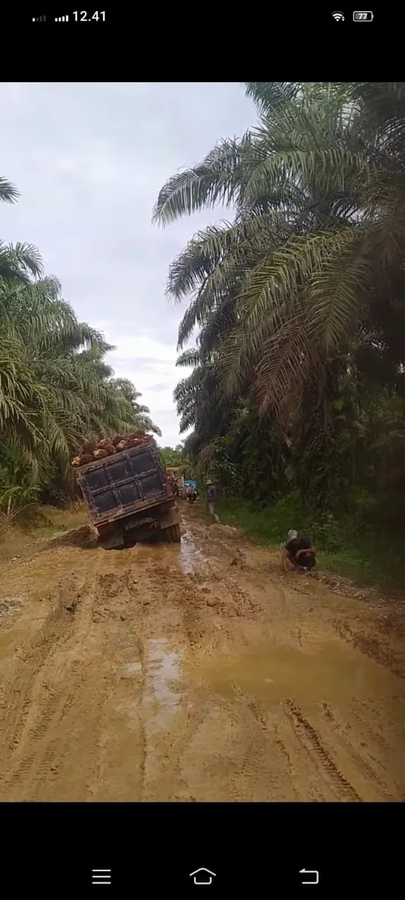 Pantai Barat Minta Pisah Dari Madina