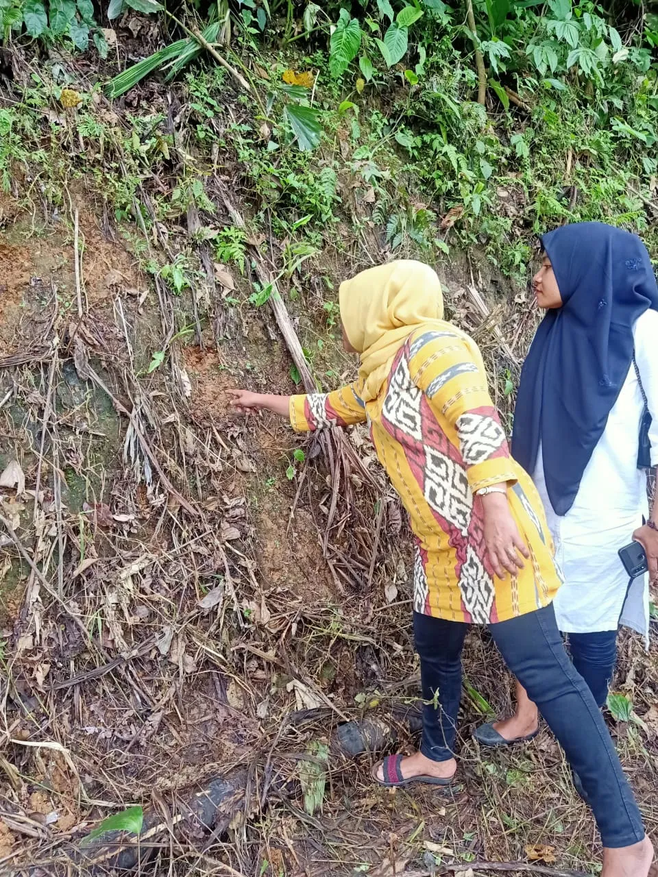 Jejak Harimau Menyebar, Dua Warga Tambangan Hilang