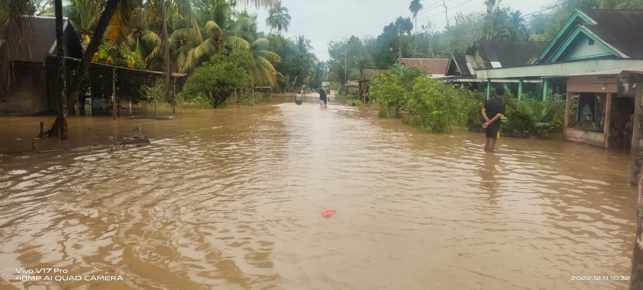 Banjir Di Linggabayu Dan Natal, Warga Ngungsi Jalan Lumpuh