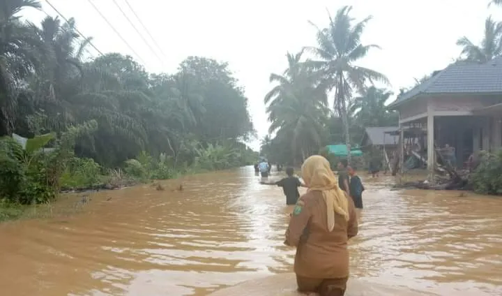 158 Ha Sawah Di Natal Terendam